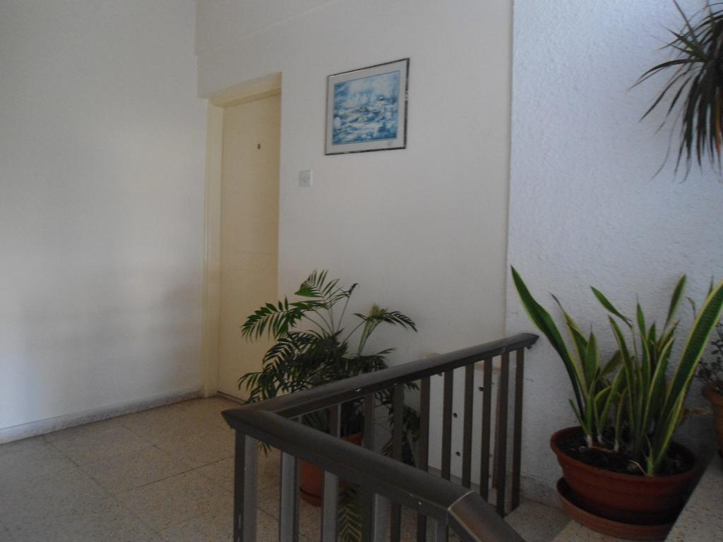 Terpsithea Apartments أيا نابا الغرفة الصورة